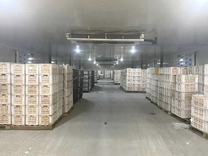 氣調庫的特點及優點有哪些?