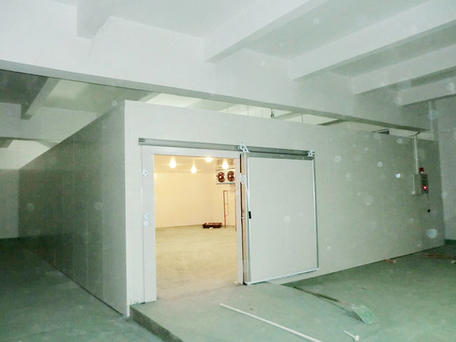 藥廠大型醫藥冷庫設計建造