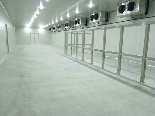 存放10噸板栗冷庫造價多少錢?