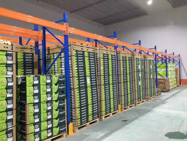 建造一個(gè)500平水果冷庫需要多少錢