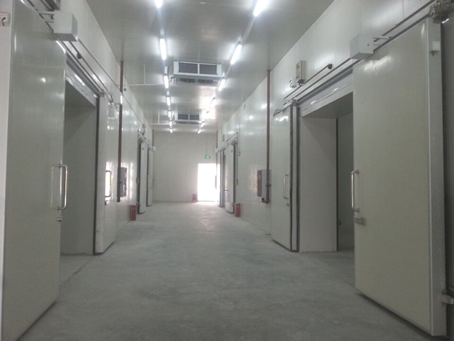 建造一個工業冷庫成本費用大概多少?