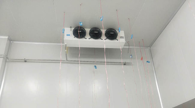 建造個芒果冷庫價格要多少錢?