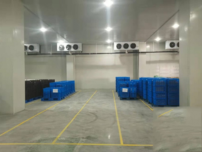 金華建一個水果冷庫需要多少錢?