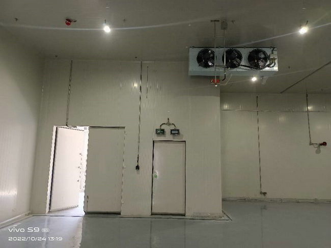湖州建30噸蔬菜保鮮庫造價要多少錢？